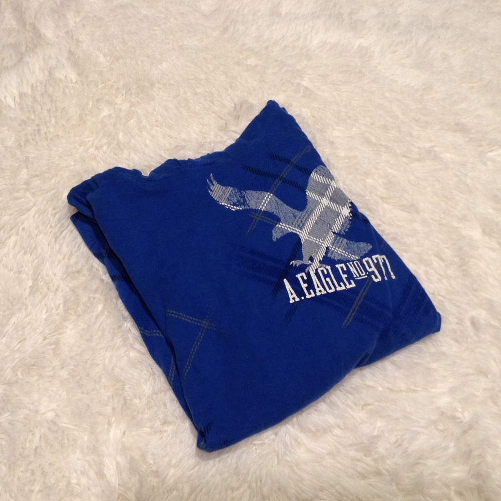 American Eagle Longsleeve Hooded Top